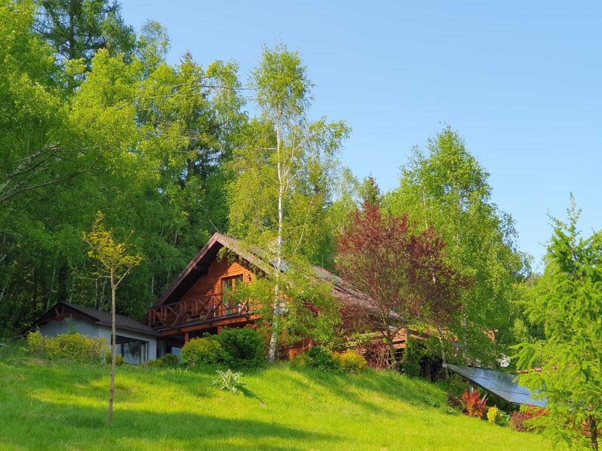 Ksiezycowa Dolina Apartment Ladek-Zdroj Luaran gambar