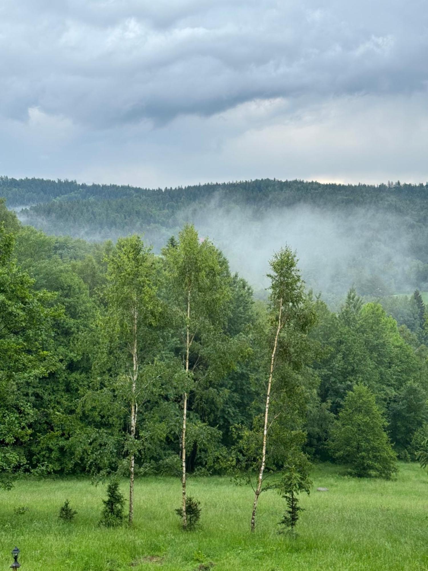 Ksiezycowa Dolina Apartment Ladek-Zdroj Luaran gambar